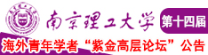 欧美日逼逼南京理工大学第十四届海外青年学者紫金论坛诚邀海内外英才！